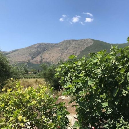 شقة 2 Bed House With Mountain View أليكيس المظهر الخارجي الصورة